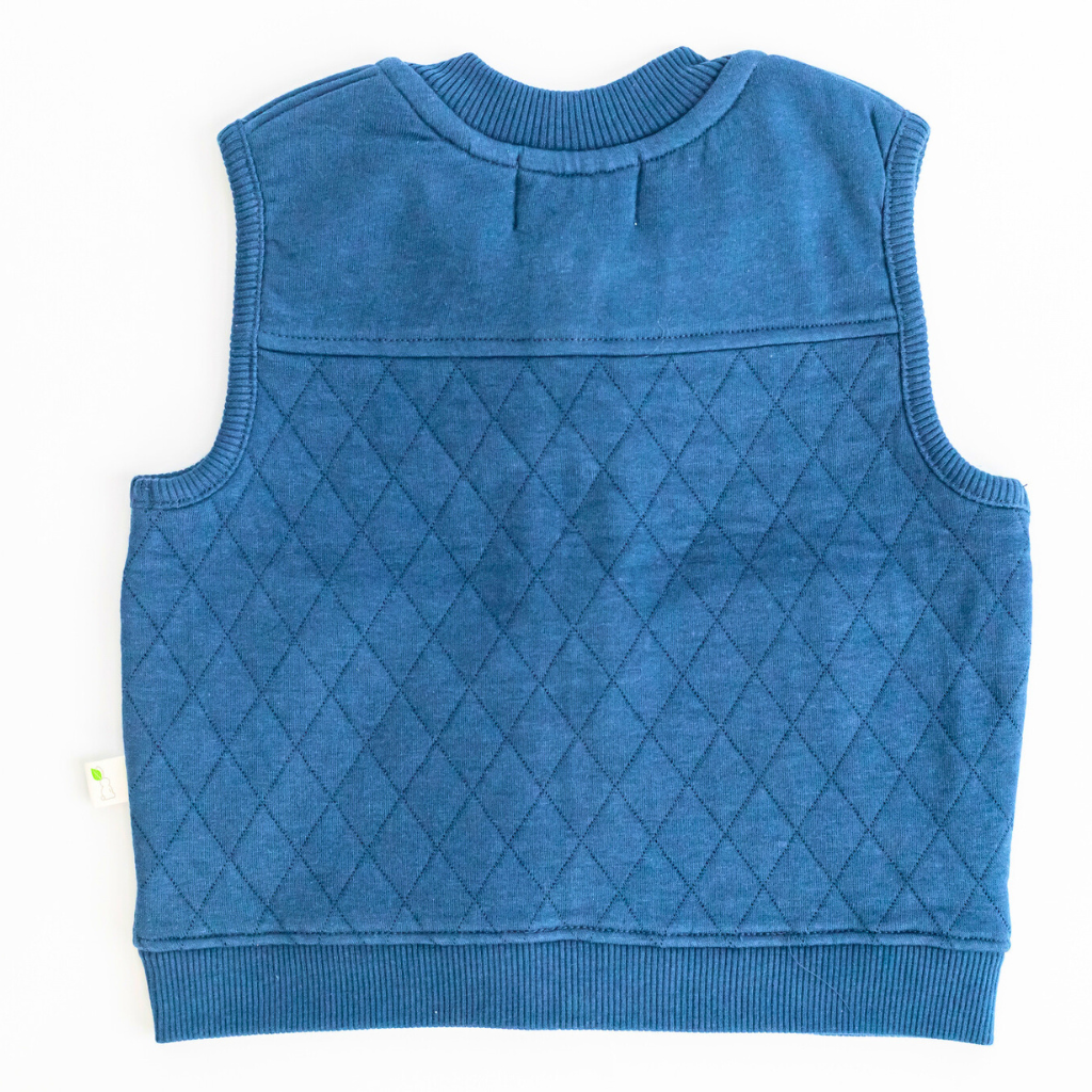 Blueberry Vest