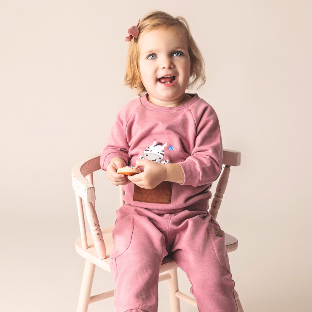 2 pc Gift Bundle - Beets Zebra Sweatshirt + Leggings & FREE Toy